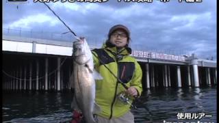 大野ゆうきの湾奥シーバス攻略〜ボート編２