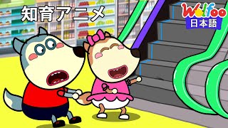 ショッピングモールへ行こう！エスカレーター&エレベーター乗り方 | マナー |子供向け安全教育| 知育アニメ| アニメ | 動画 | Wolfoo Japan
