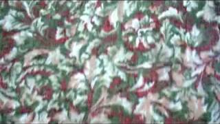 The Films "Belt Loops" video OFFICIAL