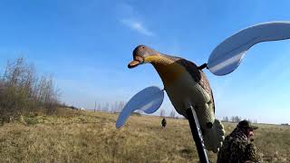 Охота 2019г. Селезни летели как сумасшедшие. Часть вторая. The drakes flew like crazy. Hunting