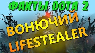 Факты Dota 2 - Воняющий Lifestealer или Бесконечный урон