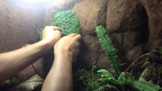 Tuto: décorer et planter votre terrarium humide
