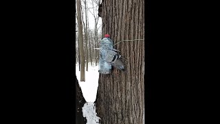 Голубь везде пролезет, а кормушку нужно менять / A pigeon will crawl through everywhere