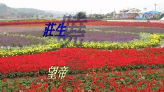 蝴蝶-番茄姑娘蕭孋珠1976蝴蝶谷專輯