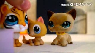 LPS:Магазин (Пэты в магазине)