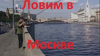 Диалоги о рыбалке -136- Городская рыбалка в Москве-реке