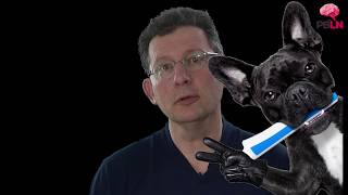 10 trucs contre ta mauvaise haleine