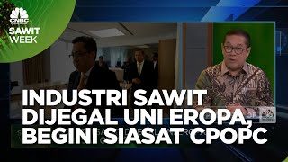 Industri Sawit Dijegal Uni Eropa, Ini Siasat CPOPC
