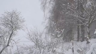 МЕТЕЛЬ Футаж