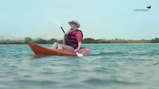 Sir Bani Yas Cruise Beach - Abu Dhabi