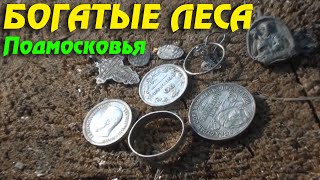 Подольская банда снова ушла в леса! Богатые леса Подмосковья!