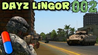 DAYZ LINGOR #002 - Bruchpilot [HD+] [deutsch] [Let's Play Together]