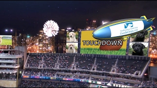We Love Our Fans! | Southeastern Guide Dogs Super Bowl Preview