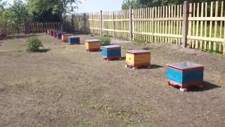 РАССТАНОВКА УЛЬЕВ НА КОЧЁВКЕ .INSTALLATION hives KOCHЁVKE.