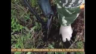 В Ставропольском районе нашли клад