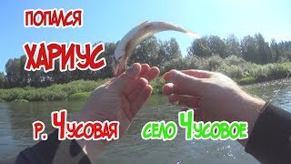 Хариус на спиннинг река Чусовая