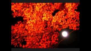 Saajan Mauray Ghar and Gharee Pall Chhinn, Raag Jaug of the Kaafee Tthaatth, Khyaals