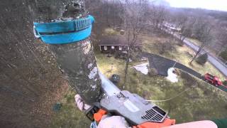 Arborist Tree Removal Featuring Home Made Throw Ball Cannon