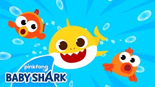 This is the Shark's Way | Baby Shark Dance and Song | Baby Shark Sing Along 