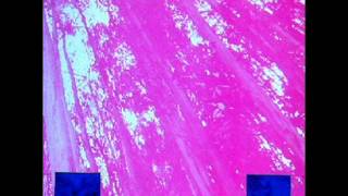 Tuxedomoon - East/Jinx/.../Music #1