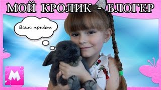 Один день из жизни КРОЛИКА – БЛОГЕРА / Сказка про ГОВОРЯЩЕГО КРОЛИКА / Кролик-Блогер ЛАПОЧКА