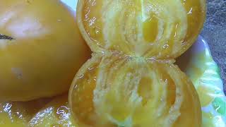 Очень вкусный томат Мясной завтрак! Понравится любителям сладких помидор.