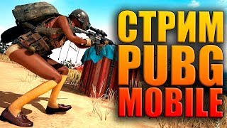 ? СТРИМ PUBG MOBILE на ПК  | ПУБГ МОБАЙЛ НА ПК через официальный эмулятор