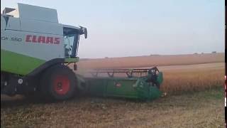 Harvester soybeans Ukraine 2016. Lexion 560. 550