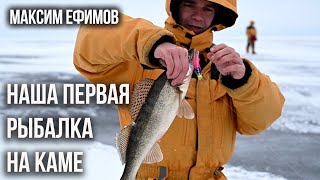 Первая рыбалка на Каме, ловля судака, берша на раттлины, а так же налима.