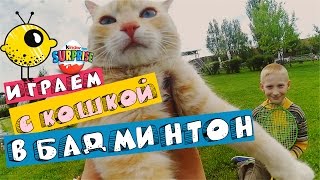 Lemonade TV - Играем с кошкой в бадминтон! Лимонад ТВ