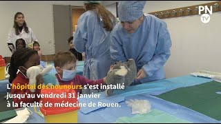 Les enfants vont faire soigner leur doudou à l'hôpital