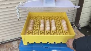 Румынский инкубатор ARGIS IO-1P TE. Видео обзор