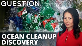 Chinese researchers isolate marine bacteria that dissolves hard plastic
