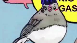 XXXTENTACION "SAD!" 6ix9ine "Billy" Pigeon and Crow Meme