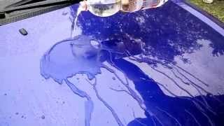 Ford Focus Mk1 SOFT99 Fusso Coat 12 Months Wax