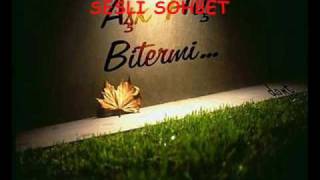 sesli şiir -iclal aydın -seni seviyorum