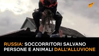 Russia: soccorritori salvano persone e animali dall'alluvione