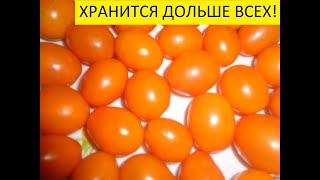 ЛУЧШИЕ ТОМАТЫ ДЛЯ ЗИМНЕГО ХРАНЕНИЯ! ТОМАТ "ОРАНЖЕВЫЕ СЛИВКИ" ЛЕЖИТ ДО НОВОГО ГОДА! 