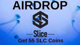 Airdrop SLICECoin Как получить 55 SLC coin... #slc #ethereum #airdrop