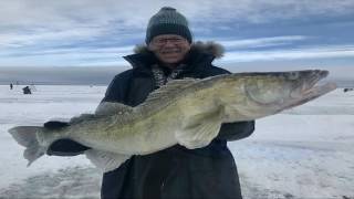ICE FISHING.  Amazing bait for walleye. Уникальная приманка для ловли трофейного судака