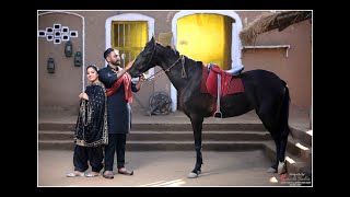 pre wedding charanpreet weds gagandeep 01/01/2020