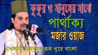 যুগের সেরা ওয়াজ | কুকুর ও মানুষের মাঝে পার্থাক্য | bangla waz | mawlana mahbubul haque nure bangla |