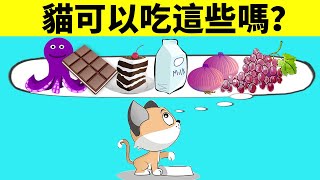 6種不能給貓吃的食物，你踩雷過幾個？