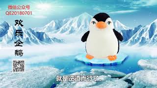 欢乐企鹅：不要急于求成！祈祷奇迹的发生是有害的， 一定要让奇迹在不知不觉中自然发生， 不能拔苗助长，不能杀鸡取卵。