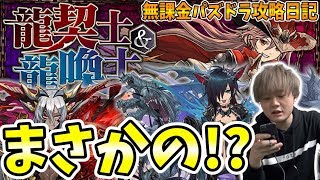 【パズドラ】龍契士&龍喚士ガチャ引けるだけ引く！どんな確率www【新しげパズ#432】