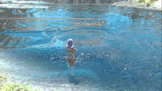 Skyrim Parallax Water (ENBSeries graphics mod)
