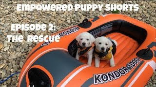 Empowered Puppy Shorts, Episode 2: The Rescue