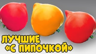 ТРИ ОЧЕНЬ ВКУСНЫХ ТОМАТА УСТОЙЧИВЫХ К БОЛЕЗНЯМ