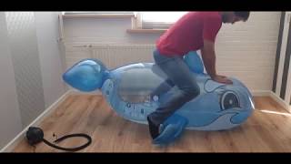 Blue whale ride and inflate to pop