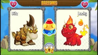 NEW BREEDING: Double Terra Dragon & Flaming Rock Dragon | DRAGON CITY ?